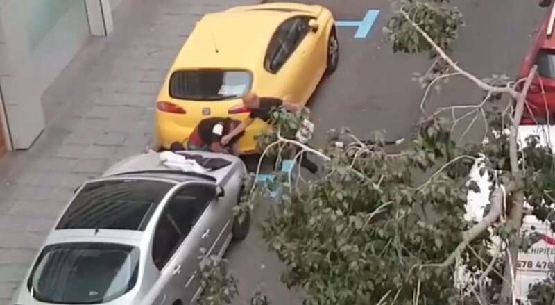 Imagen de la pelea/TA.